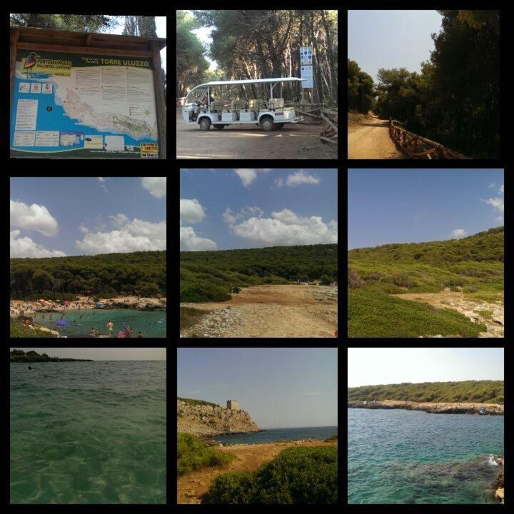 Nardò Salento - Casa Vacanza Di Diana Carcagni מראה חיצוני תמונה