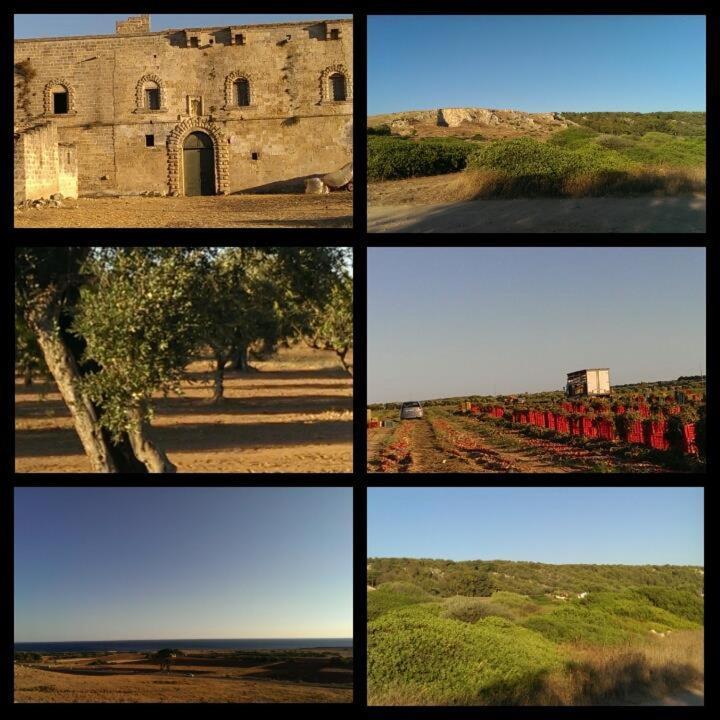 Nardò Salento - Casa Vacanza Di Diana Carcagni מראה חיצוני תמונה